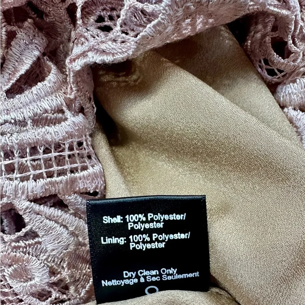 Dress the Population Blush Lace Jumpsuit - Picture 8 of 8